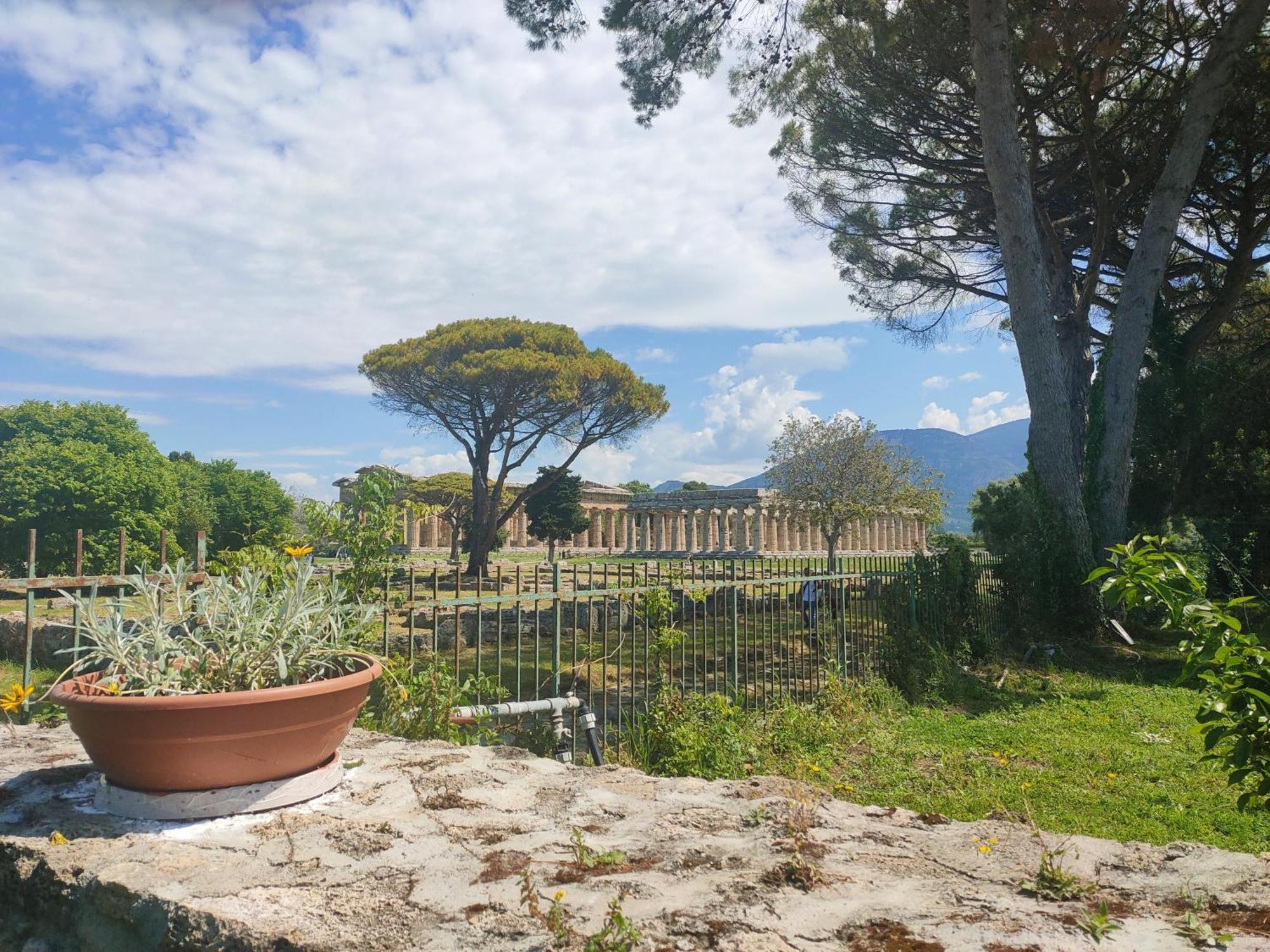 Apartamento Il Giardino Di Athena 1 Paestum Habitación foto