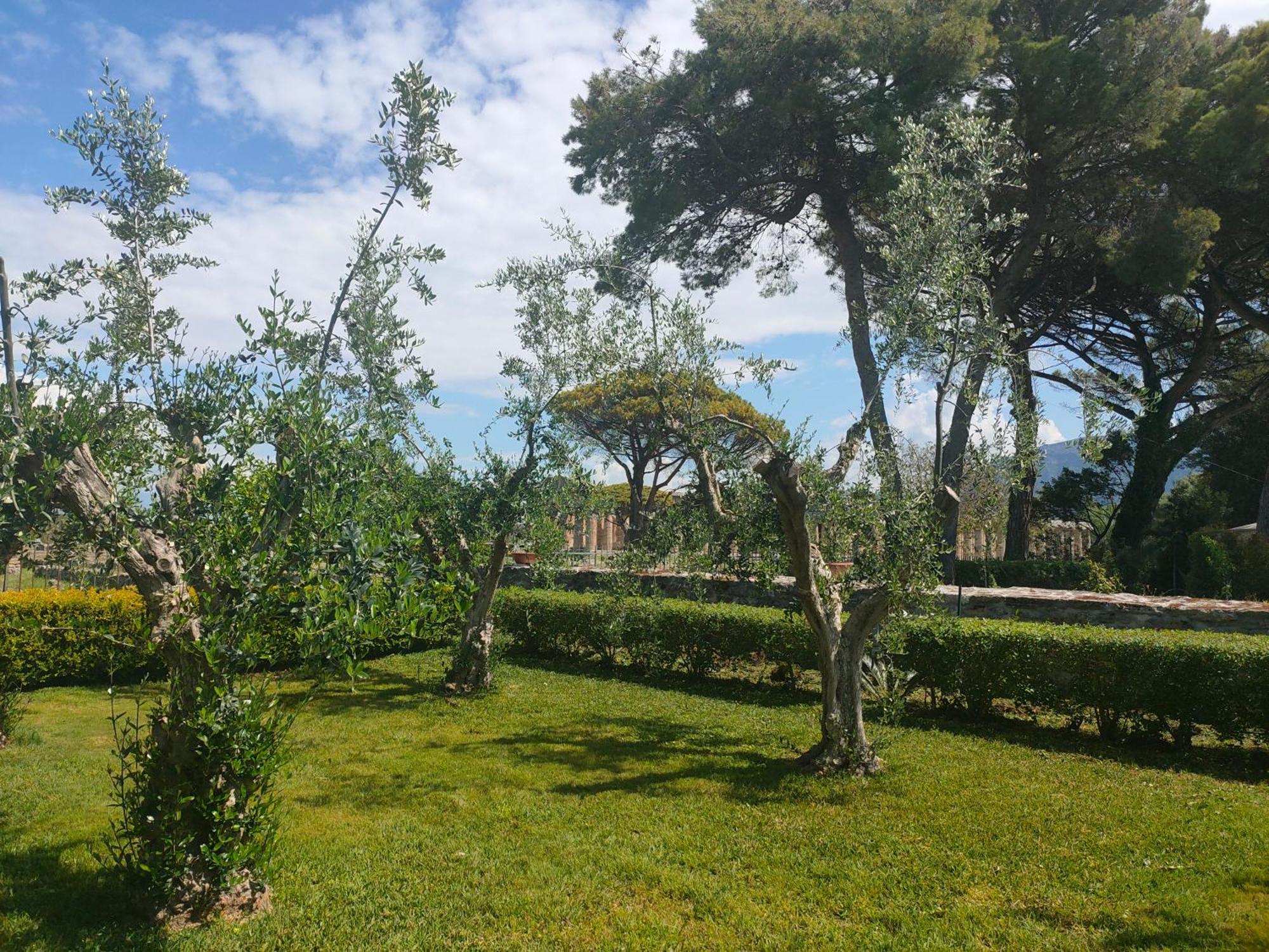 Apartamento Il Giardino Di Athena 1 Paestum Exterior foto