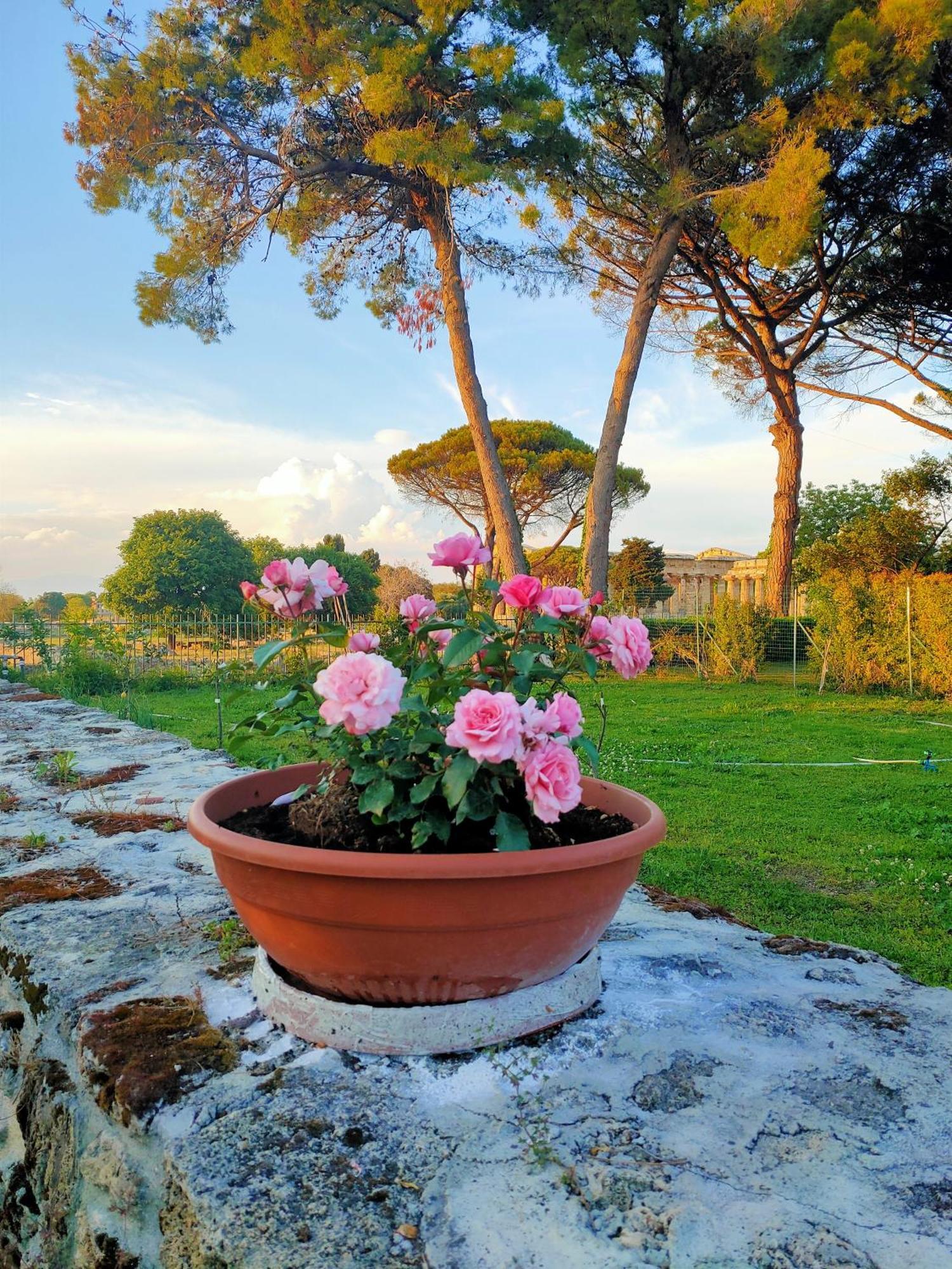 Apartamento Il Giardino Di Athena 1 Paestum Exterior foto