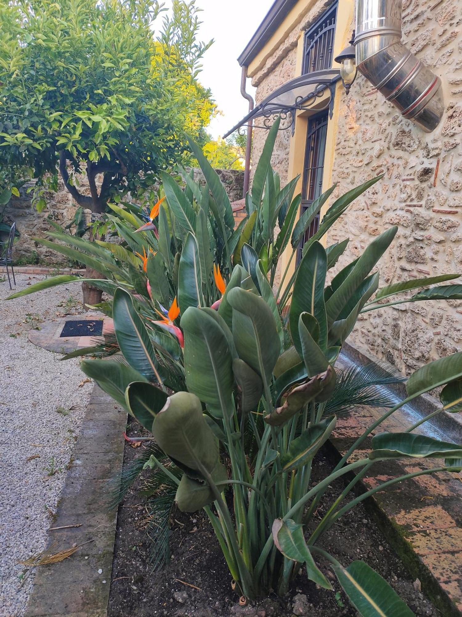 Apartamento Il Giardino Di Athena 1 Paestum Exterior foto