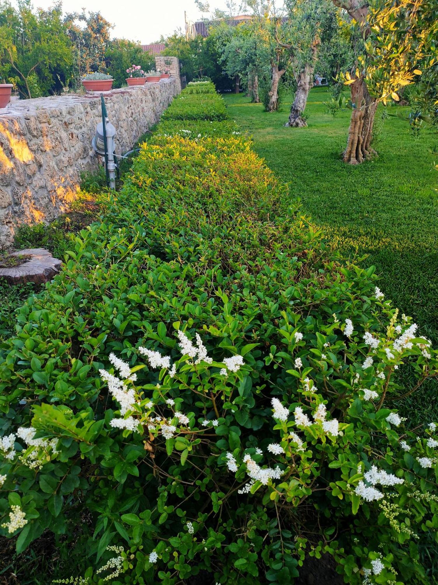 Apartamento Il Giardino Di Athena 1 Paestum Exterior foto
